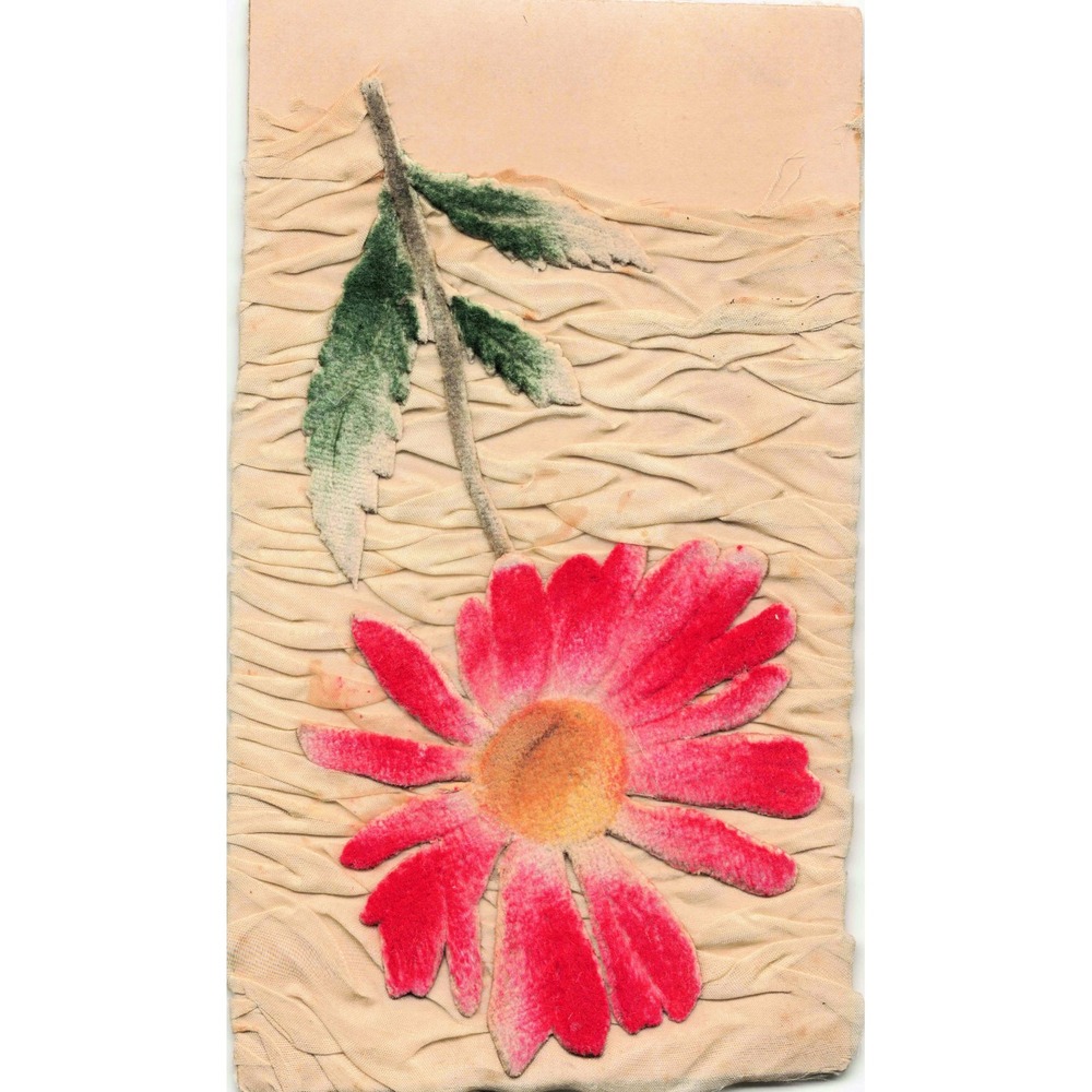 Antique Novelty Postcard Pink Velvet Daisy Flower Fabric Applique Germany c1910